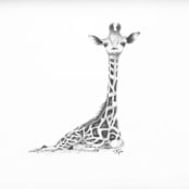 "Giraffe" - Original Drawings in brown by Teju Reval