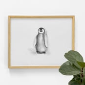"Penguin" - Original Drawings in natural by Teju Reval