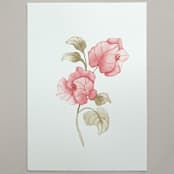 "Bougainvillea flowers watercolor painting" - Original Painting in pink by Angele Kamp