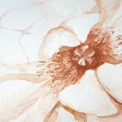 "Peachy Peonies 02 watercolor painting" - Original Painting in orange by Angele Kamp