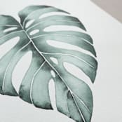 "Monstera leaf watercolor painting" - Original Painting in green by Angele Kamp