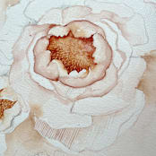 "Blooming Pink Peonies 01" - Original Painting in pink by Angele Kamp