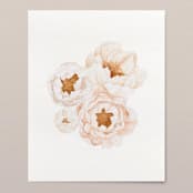 "Peonies in bloom watercolor painting" - Original Painting in pink by Angele Kamp