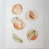 "Peaches" - Original Painting in orange by Angele Kamp