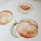 "Peaches" - Original Painting in orange by Angele Kamp