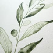 "Olive Branch 02" - Original Painting in green by Angele Kamp