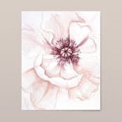 "Oriental Poppies watercolor painting 02" - Original Painting in purple by Angele Kamp