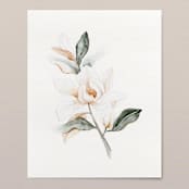 "Magnolia Grandiflora 01 original watercolor painting" - Original Painting in green by Angele Kamp