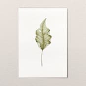 "Fallen Leaves 07" - Original Painting in green by Angele Kamp