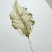 "Fallen Leaves 07" - Original Painting in green by Angele Kamp