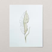 "Skeleton leaf" - Original Painting in green by Angele Kamp