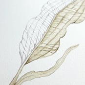 "Skeleton leaf" - Original Painting in green by Angele Kamp