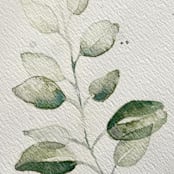 "Eucalyptus branch" - Original Painting in green by Angele Kamp