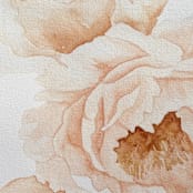 "Peonies in bloom" - Original Painting in orange by Angele Kamp