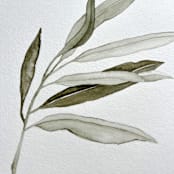 "Olive Branch" - Original Painting in green by Angele Kamp