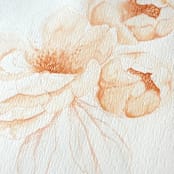 "Peachy Peonies 01 watercolor painting" - Original Painting in orange by Angele Kamp