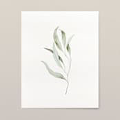 "Green leaves watercolor painting" - Original Painting in green by Angele Kamp
