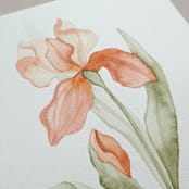 "Orange orchid" - Original Painting in orange by Angele Kamp