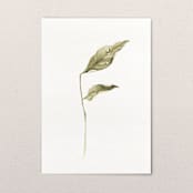 "Fallen Leaves 06" - Original Painting in green by Angele Kamp
