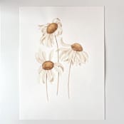"Daisies" - Original Painting in beige by Angele Kamp