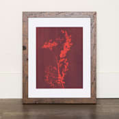 "Chaparral I Original" - Original Mixed Media in red by Kamala Nahas