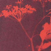 "Chaparral I Original" - Original Mixed Media in red by Kamala Nahas
