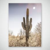 "Saguaro (24" x 36")" - Limited Edition Prints - Photography in multicolor by Eric Clegg