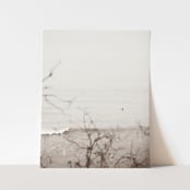 "Surfside II - 8" x 10"" - Limited Edition Prints - Photography in gray by Kamala Nahas