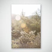 "Sonoran Desert (10" x 15")" - Limited Edition Prints - Photography in multicolor by Eric Clegg