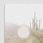 "Sonoran Desert (10" x 15")" - Limited Edition Prints - Photography in multicolor by Eric Clegg