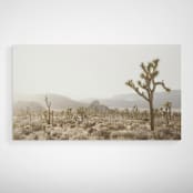 "Mojave 1 - 48" x 27"" - Limited Edition Prints - Photography in beige by Kamala Nahas