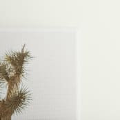 "Mojave 1 - 48" x 27"" - Limited Edition Prints - Photography in beige by Kamala Nahas