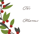 "Holiday Branch" - Stationery in Candied Apple by Jennifer Postorino - Close-Up