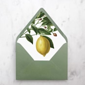 "A7 Envelope Liners Lemon Tree (set of 10)" - Envelope Liners in yellow by Design by Laney