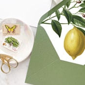 "A7 Envelope Liners Lemon Tree (set of 10)" - Envelope Liners in yellow by Design by Laney