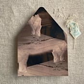 "Rosé table setting for guests printed envelope liner for A7 euro flap envelope | pack of 10" - Envelope Liners in multicolor by Ivory Invitations