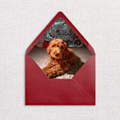 "Custom Pet Photo Envelope Liners, Pack of 25" - Envelope Liners in multicolorassorted-colors by Studio Lavender