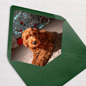 "Custom Pet Photo Envelope Liners, Pack of 25" - Envelope Liners in multicolorassorted-colors by Studio Lavender