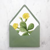 "A7 Envelope Liners Cactus Flower (set of 10)" - Envelope Liners in green by Design by Laney