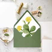 "A7 Envelope Liners Cactus Flower (set of 10)" - Envelope Liners in green by Design by Laney
