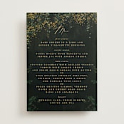 "New Orleans from Disney's Princess and The Frog" - Menus in Mystic by Phrosné Barwood - Front