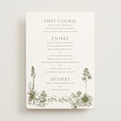 "Rancho" - Menus in Verde by Megan Davis - Front