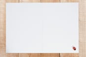 "Thank you field" - Cards in butter by Kay Wolfersperger - Interior