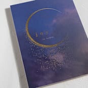 "Moon" - Minted x The Met Holiday Cards in Cobalt by Lori Wemple - Detail