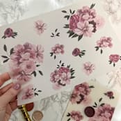 "Burgundy and Dusty Pink Floral Vellum (10 pack)" - Invitation Jackets and Overlays in clear by Carley Zuercher