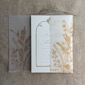 "Faux Gold English botanical garden floral vellum wrap for 5x7 card | pack of 10" - Invitation Jackets and Overlays in gold by Ivory Invitations