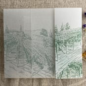 "Sage vineyard landscape sketch printed vellum wrap for 5x7 card | pack of 10" - Invitation Jackets and Overlays in green by Ivory Invitations