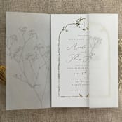 "Minimalist baby's breath flower oyster color printed vellum wrap for 5x7 card  | pack of 10" - Invitation Jackets and Overlays in gray by Ivory Invitations