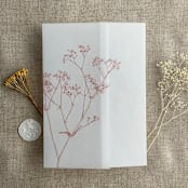 "Minimalist baby's breath flower old rose color printed vellum wrap for 5x7 card  | pack of 10" - Invitation Jackets and Overlays in pink by Ivory Invitations