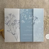"Minimalist baby's breath flower navy color printed vellum wrap for 5x7 card  | pack of 10" - Invitation Jackets and Overlays in blue by Ivory Invitations